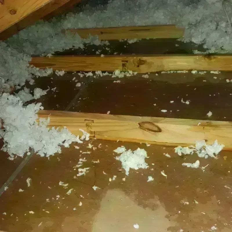 Attic Water Damage in Yellville, AR